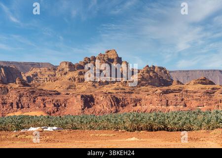 Lussureggianti palmeti e antiche formazioni rocciose sorgono dalle sabbie desertiche di Alula, un'oasi mozzafiato nel cuore dell'aspro nord-ovest dell'Arabia Saudita Foto Stock