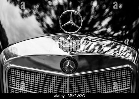 BERLINO – 10 MAGGIO 2025: Primo piano dell'iconica stella Mercedes-Benz e griglia frontale di un modello Ponton del 1957. Classic Days Berlin. Bianco e nero. Foto Stock