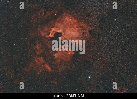 Nebulosa nordamericana (NGC 7000, Caldwell 20) una nebulosa di emissione nella costellazione di Cygnus, vicino a Deneb Foto Stock