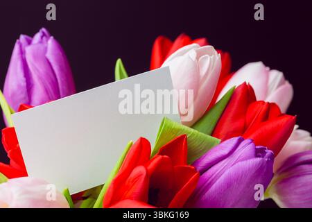 Il bouquet di tulipani multicolore dal design piatto circonda il biglietto d'auguri bianco su sfondo scuro Foto Stock