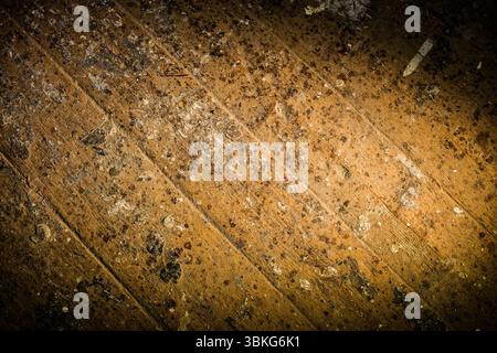 Le tavole del pavimento in legno invecchiato sono mostrate con un design piatto, con polvere, schizzi di vernice, piccole pietre Foto Stock
