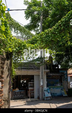 Gili, Lombok, Indonesia - 8 gennaio 2025: Piccolo edificio con un cartello con scritto "lavanderia". L'edificio e' circondato da vigneti e ha molta avidità Foto Stock