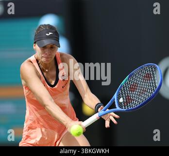 Magda Linette (POL) nel suo match contro Dayana Yastremska (UKR) durante la semifinale femminile del Lexus Nottingham Open Tennis Open il 14 giugno 2025 Foto Stock