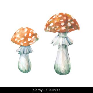 Un paio di acquerelli con mosca evidenziati su uno sfondo bianco. Disegnato a mano. Illustrazione botanica di funghi selvatici. Clipart. Per la progettazione di Foto Stock