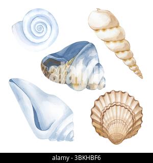 Le conchiglie acquerelli di colori e forme diversi sono disegnate a mano. Isolato su sfondo bianco. L'illustrazione è in tonalità di bianco, blu e marrone Foto Stock