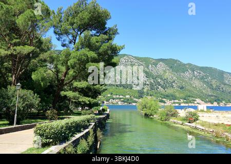 Il fiume Scurda scorre nella baia di Cattaro con montagne sullo sfondo Foto Stock