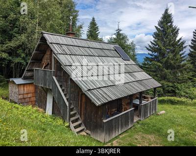 Valle del Logar in Slovenia con montagne panoramiche, rifugi locali in legno e tradizionali fattorie alpine. Foto Stock