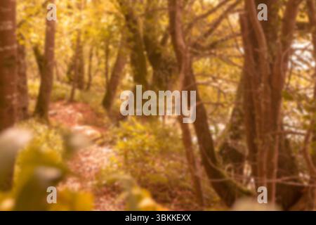 Lo stretto sentiero sterrato si snoda attraverso la foresta autunnale dorata in un design piatto, mostrando foglie cadute Foto Stock