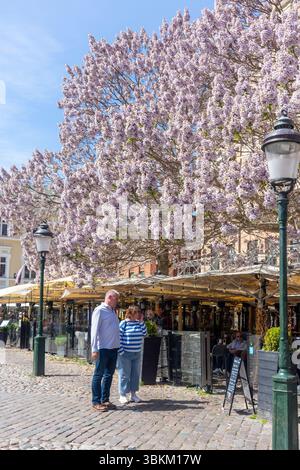 Ristoranti all'aperto, Lilla torg, Malmö, provincia di Scania, Regno di Svezia Foto Stock