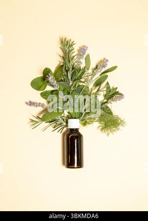 Un albero fatto di erbe naturali di rosmarino, lavanda, mojito di menta, aneto e una bottiglia di olio essenziale. Concetto naturale di salute. Foto Stock