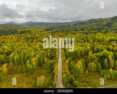 Una prospettiva aerea cattura una strada tortuosa che attraversa una fitta foresta che mostra colori autunnali vibranti sotto un cielo nuvoloso Foto Stock