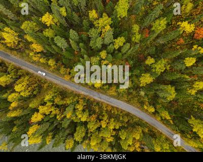 Una vista aerea dall'alto verso il basso cattura un'auto su una strada tortuosa, circondata da un ricco arazzo di alberi verdi e gialli autunnali Foto Stock