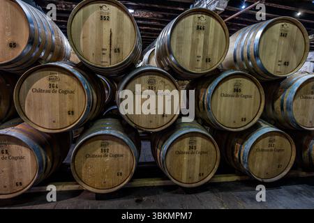 Cantina di maturazione e stoccaggio di botti di cognac al Baron Otard. Il brandy deve essere conservato in botti di rovere di Limousin per almeno due anni nella regione prima di poter essere chiamato cognac. Tour panoramico con degustazione presso l'Château de Cognac. Rue du Château, Cognac, Nouvelle-Aquitaine, Francia Foto Stock