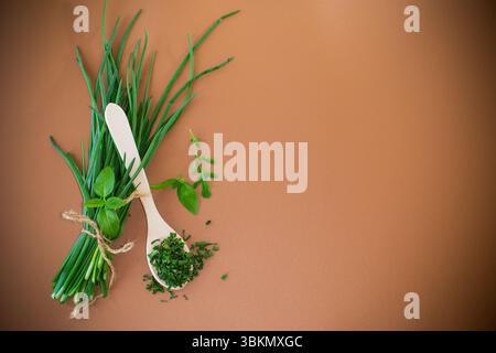 Condimenti naturali da verdure e cipolle su sfondo marrone. Foto Stock