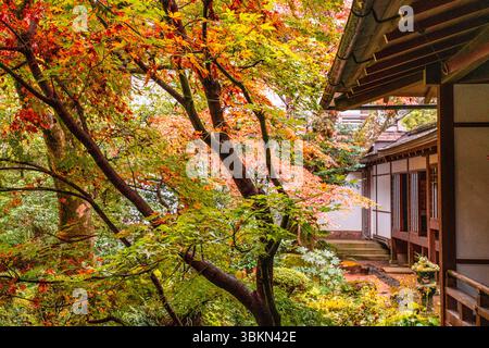 Il bellissimo tempio di Sanzen-in a Ohara durante la stagione autunnale. Kyoto, Giappone. Foto Stock