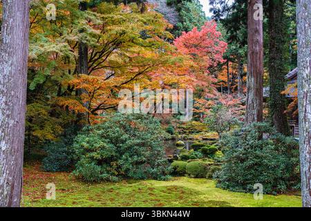 Il bellissimo tempio di Sanzen-in a Ohara durante la stagione autunnale. Kyoto, Giappone. Foto Stock