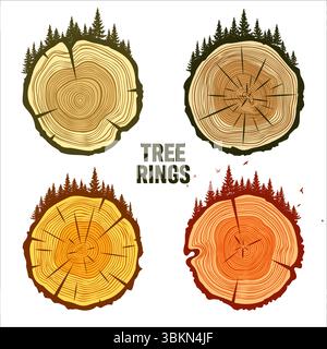 Tronco di alberi rotondi taglia con alberi, foreste e uccelli. Fette di pino o quercia segate, legname. Sega tagliava legname, legno. Struttura in legno marrone con anelli ad albero. Mano Illustrazione Vettoriale
