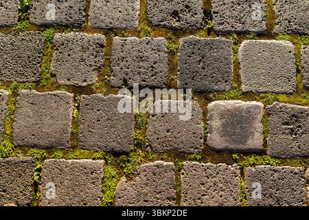 Pietre di basalto quadrate con erba nel mezzo, storica città di Mühlhausen, ex città imperiale, Turingia, Germania Foto Stock