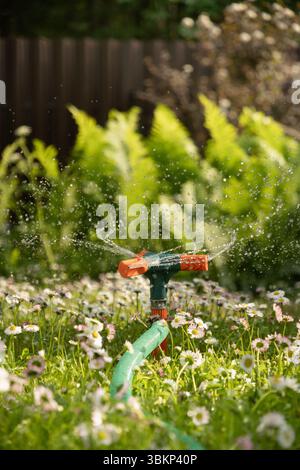 Innaffiare il giardino con il tubo. Estate calda. Sistema di irrigazione intelligente automatico. Primo piano. Foto Stock