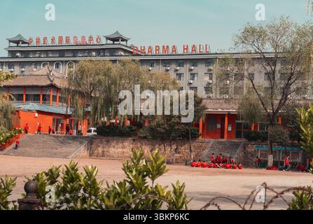 Viaggia, Cina, tradizione buddista e scuola buddista di arte marziale Kung fu, situata sui terreni del monastero Shaolin a Dengfeng, Zhengzhou, Cina Foto Stock