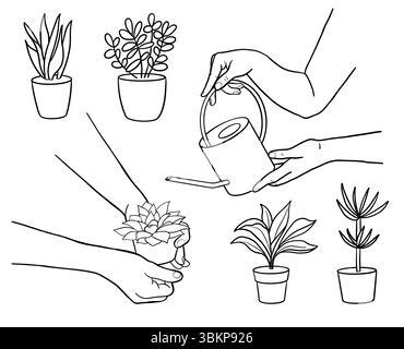 La persona sta annaffiando la pianta con la lattina d'acqua, il fiore sta crescendo. Concetto di cura delle piante, piantagione, giardinaggio, coltivazione delle piante. Illustrazione vettoriale isolata Illustrazione Vettoriale