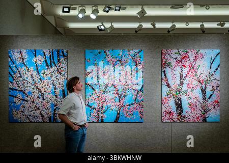 Londra, Regno Unito. 23 giugno 2025. Le virtù di Damien Hirst, stimate tra £ 50.000 e £ 70.000 nella vendita di stampe e multiple. Un'anteprima delle vendite di stampe e multiple e un'immagine ancora più grande: I saldi David Hockney & Friends a Bonhams, New Bond Street. La vendita ha luogo il 16 giugno. Crediti: Guy Bell/Alamy Live News Foto Stock