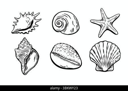 Set di illustrazioni a inchiostro nero disegnate a mano di conchiglie e stelle marine in stile incisione vintage, ideale per i disegni estivi mediterranei. Illustrazione Vettoriale
