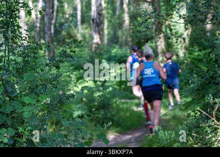 Partecipanti adulti che amano passeggiare nei boschi al 2025 berkhamsted Woodland Trail 2025 organizzato dall'associazione benefica DENS of Dacorum Foto Stock