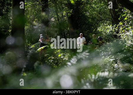 Partecipanti adulti che amano passeggiare nei boschi al 2025 berkhamsted Woodland Trail 2025 organizzato dall'associazione benefica DENS of Dacorum Foto Stock