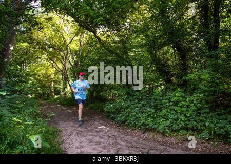 Partecipanti adulti che amano passeggiare nei boschi al 2025 berkhamsted Woodland Trail 2025 organizzato dall'associazione benefica DENS of Dacorum Foto Stock