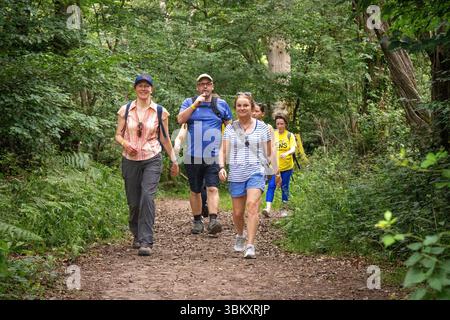 Partecipanti adulti che amano passeggiare nei boschi al 2025 berkhamsted Woodland Trail 2025 organizzato dall'associazione benefica DENS of Dacorum Foto Stock
