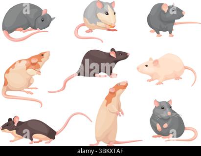 Il mouse cartoon pone. Simpatico set di messa, ratto da laboratorio bocche brune selvatiche che mangiano formaggio, piccolo roditore domestico personaggio casa di animali domestici posa seduta, illustrazione vettoriale ordinata opera d'arte originale Illustrazione Vettoriale