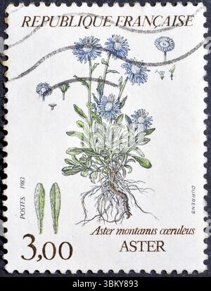 Francobollo cancellato stampato dalla Francia, che mostra i fiori di montagna: Aster (aster montanus ceruleus), circa 1983. Foto Stock