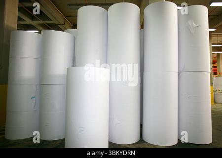 produzione di rotoli di carta per ulteriore trasformazione in un impianto di stampa Foto Stock