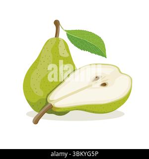Immagine vettoriale della pera verde isolata su sfondo bianco Illustrazione Vettoriale