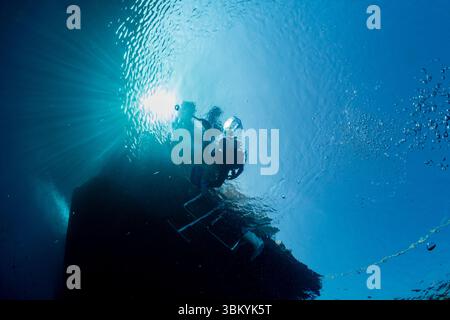 Due subacquei stanno esplorando un relitto, visto dal basso, con la luce del sole che scorre attraverso l'acqua. Foto Stock