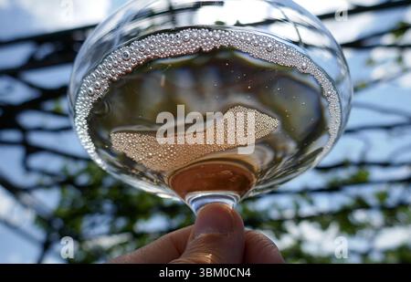 Vino frizzante tenuto in wineglass e strisciante in mano Foto Stock