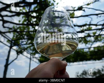Vino bianco nel bicchiere di vino tenuto in cielo e agitato Foto Stock