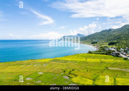 Vista aerea delle terrazze Xinshe sul mare nella contea di Hualien, Taiwan Foto Stock
