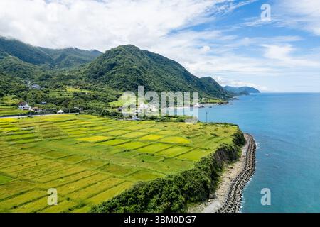 Vista aerea delle terrazze Xinshe sul mare nella contea di Hualien, Taiwan Foto Stock