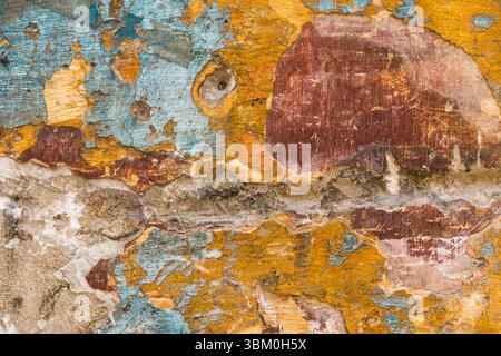 Cuba, l'Avana. Stucco, edificio in legno, blu e giallo, marrone, vernice peeling. Foto Stock