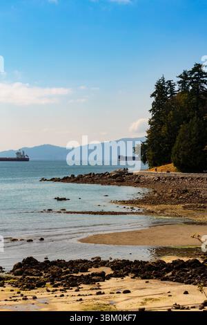 Second Beach e English Bay da Stanley Park, Vancouver, British Columbia, Canada. Foto Stock