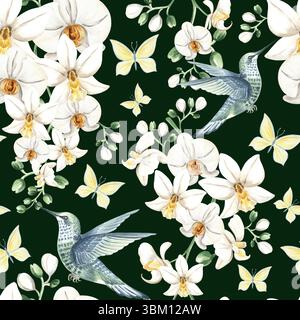 Colibrì volante con fiori di orchidea bianca e farfalle illustrazione acquerello. Disegno a mano senza cuciture con phalaenopsis tropicale e uccello Foto Stock