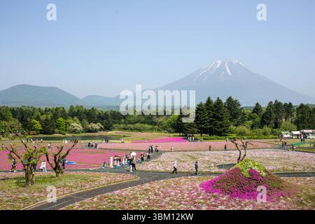 Copyright Stefano Lioy - Fotografia e Travel Media Foto Stock