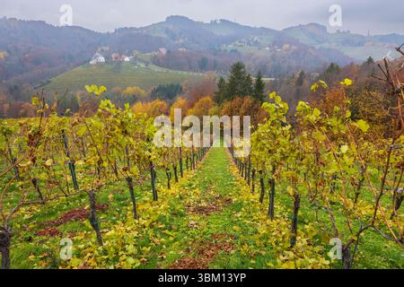 Vista panoramica dei vigneti che cambiano colore in autunno, nella regione vinicola della Stiria, Austria Foto Stock