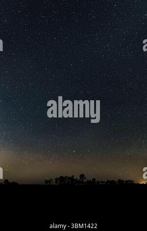 Il bellissimo cielo notturno, pieno di stelle, nella Big Cypress National Preserve. Foto Stock