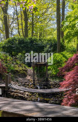 Tranquillo scenario di un ponte di legno su un ruscello in un giardino giapponese, circondato da vegetazione lussureggiante e vegetazione colorata a Lisse, Paesi Bassi Foto Stock