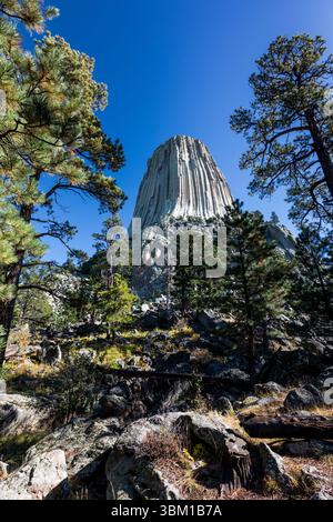 Il devil's Tower National Monument, una rara forma di roccia ignea, sorge fuori dal paesaggio del Wyoming, Stati Uniti. Foto Stock