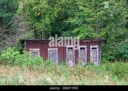 Vecchio attico in legno con porte su un prato ricoperto Foto Stock