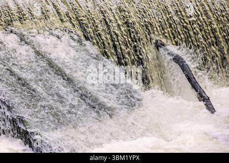 Cascata con acqua in caduta in una diga Foto Stock